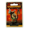 WFB Warriors of Chaos Festus the Leechlord (Finecast, OOP)