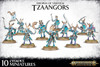 Warhammer: Age of Sigmar Disciples of Tzeentch Tzaangors