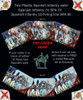 Napoleonic Ottoman Army 1790-1815 Spanish Infantry (1) 1808-11 - Available to Order