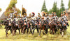 Napoleonic Austrian Plastic Cavalry - Available to Order