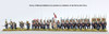 Napoleonic Duchy of Warsaw Infantry Battalion 1807-14 - Available to Order