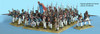 Napoleonic French Plastic Infantry - Available to Order