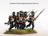 Napoleonic Duchy of Warsaw Infantry, Elite Companies 1807-14 - Available to Order