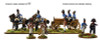 Napoleonic French Surgeon's "Wurst" Wagon - Available to Order