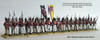 Napoleonic British Plastic Line Infantry Box Set - Available to Order