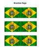 War of the Triple Alliance (1864-70) Brazilian Volunteers of Patria Command Standing - Available to Order
