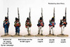 Napoleonic French in Egypt Light Infantry March Attack (Kleber Ordnance) - Available to Order