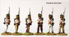 Napoleonic Confederation of the Rhine Wurzburg Fusiliers, Shakos, March Attack 1809-12 - Available to Order