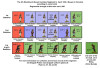 Napoleonic Confederation of the Rhine (4th Regt.) Saxe-Coburg Voltigeurs Marching 1807-13 - Available to Order