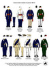 War of the Triple Alliance (1864-70) Brazilian Cacador Command - Available to Order