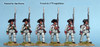 AWI French Fusiliers March Attack, 1779 Coats - Available to Order