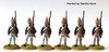 AWI Grenadier Regt. Rall, Grenadiers Advancing, Shouldered Arms - Available to Order