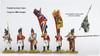 Napoleonic British Infantry Command Marching 1808-14 - Available to Order