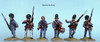 AWI Lee's Legion Foot Command Advancing - Available to Order