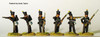 Napoleonic Brunswick Light Infantry Firing Line - Available to Order