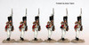 Napoleonic British Grenadiers of the 61st Regt. Marching - Available to Order