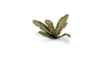 Gamers Grass Laser Plants - Banana Tree - Basing Tufts for Miniature Games
