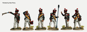 Napoleonic Duchy of Warsaw Foot Artillery Firing Gun - Available to Order