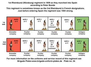 Napoleonic Confederation of the Rhine Wurzburg Infantry Command, Helmets, Advancing 1806-09 - Available to Order