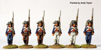 Napoleonic Confederation of the Rhine (4th Regt.) Saxe-Gotha Musketeers in Bicorne Marching 1810-11 - Available to Order