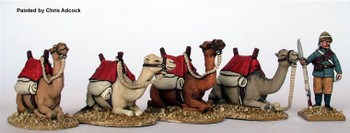Sudan British Kneeling Camels - Available to Order