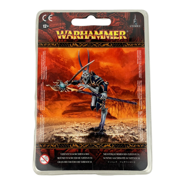 WFB Warriors of Chaos Tzeentch Sorcerer Lord ( OOP)