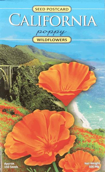 Seed Postcard - California Poppy Wildflowers