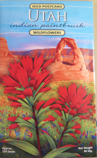 Seed Postcard - Utah Indian Paintbrush Wildflowers