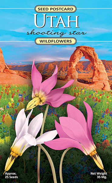 Seed Postcard - Utah Shooting Star Wildflowers