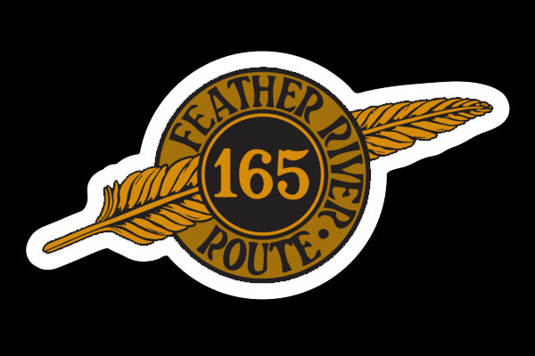WP 165 Feather Sticker