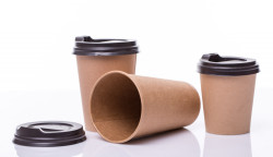 Disposable Cups and Lids