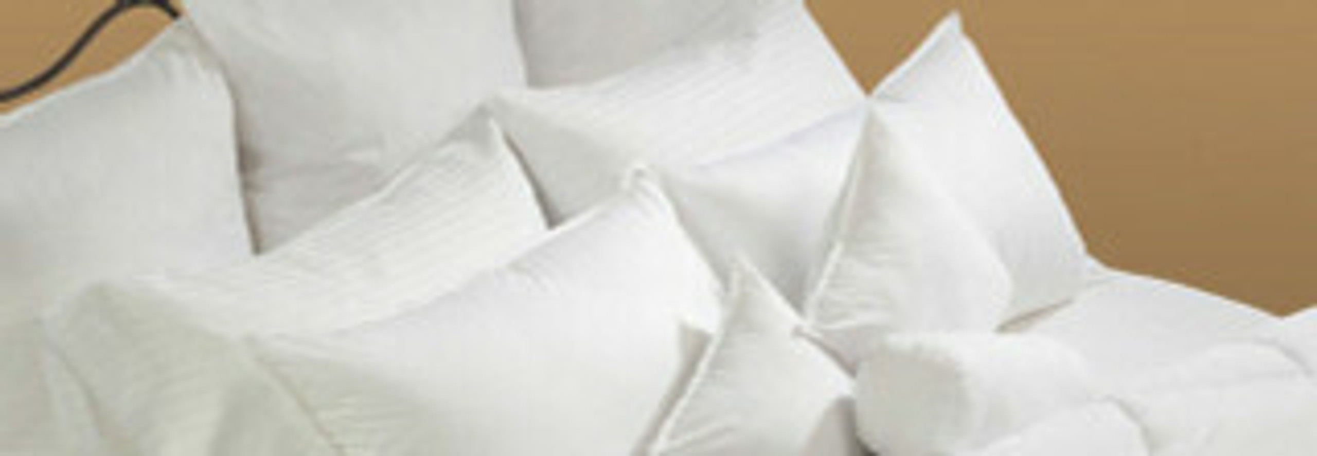 Hotel Brand Pillows