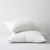 Plush Down Alternative Pillow 2 Pack | Gel Fiber Fill ienjoy home