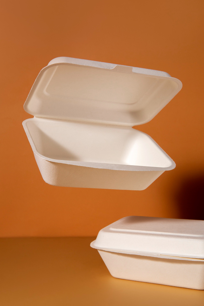 9x8x3 Inch To Go Clam Shell Disposable Food Containers