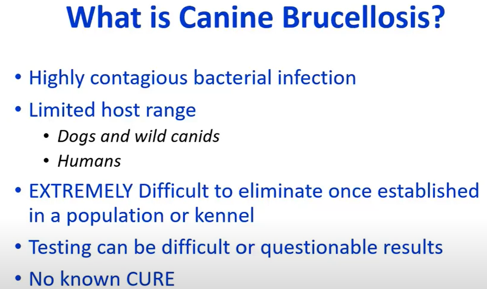 brucella-cure.png