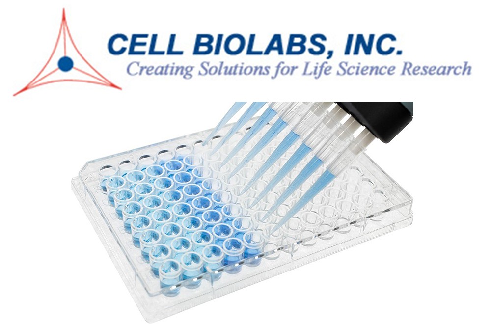 img-cellbiolabs-verpackung.jpg