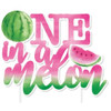 One In A Melon 1st Birthday Party Cake Topper