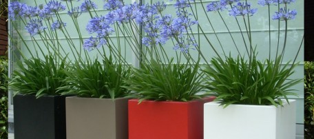 Polyester plantenbakken.