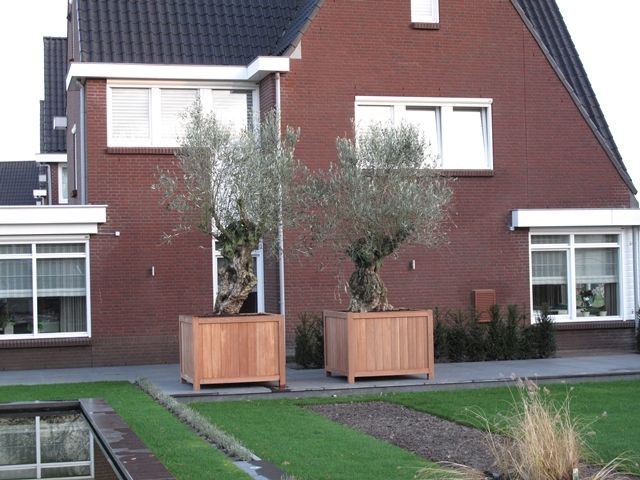 Goedkope plantenbak