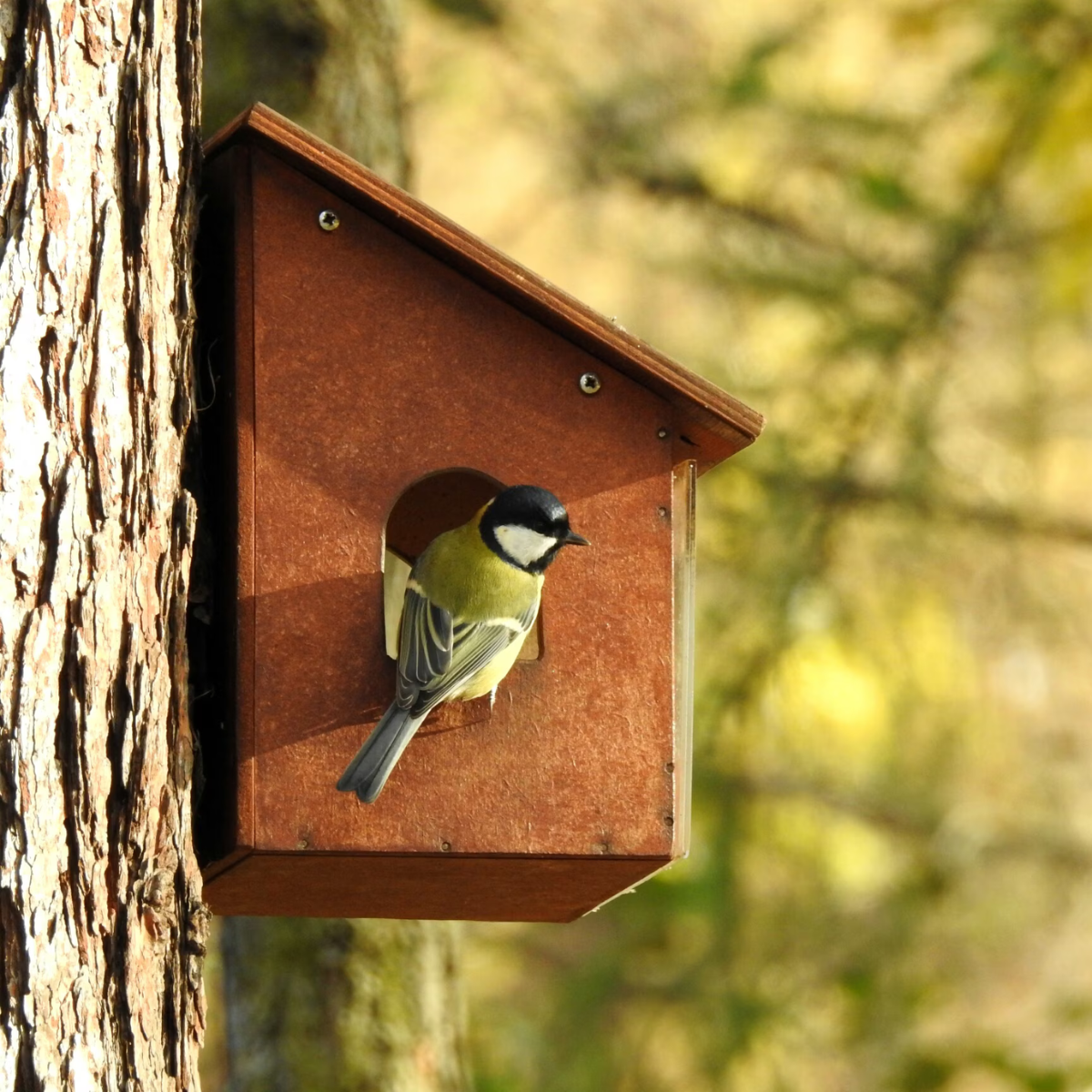 Vogelhuisje