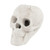 Halloween Fire Pit Skull Halloween Decoration-Beige B593-NP10687