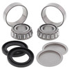 Swing Arm Bearing Kit Honda TRX350TE 350cc 2000 2001 2002 2003 2004 2005 2006