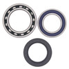 New Rear Axle Wheel Bearing Kit Yamaha YTM225 Tri-Moto DXL 225cc 1983 1984