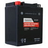 Factory Racing Parts AGM Battery FRX14AH For ATVs, UTVs, Motorcycles, Snowmobiles YTX14AH, YB14-A2