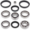 New Front Differential Bearing Kit Arctic Cat 400 VP 4x4 w/MT 400cc 2005 2006