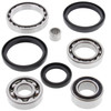 New Front Differential Bearing Kit Arctic Cat 500 FIS TRV 4x4 500cc 05 06 07 08