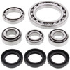 New Front Differential Bearing Kit Arctic Cat 500 4x4 w/AT 500cc 2000 2001