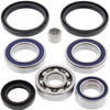 New Front Differential Bearing Kit Arctic Cat 500 FIS TRV 4x4 500cc 2003