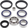 New Front Differential Bearing Kit Arctic Cat 250 4x4 250cc 2003
