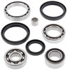 New Front Differential Bearing Kit Arctic Cat 650 H1 TBX 650cc 2007 2008 2009